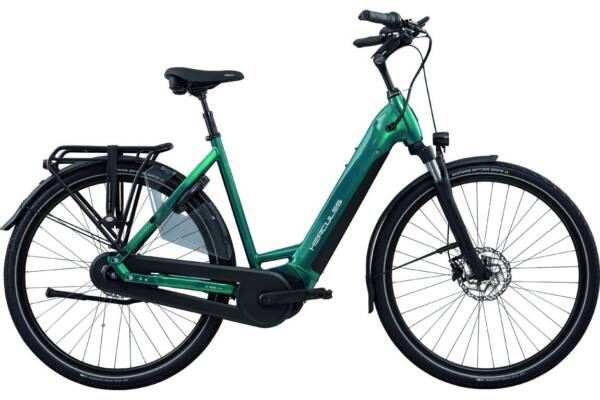 Hercules Montfoort I-F7 Dames Petrol -Glossy 50cm 50 cm 2025
